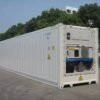 download (53) 40ft Reefer Shipping Container – Large-Scale Cold Storage Solution